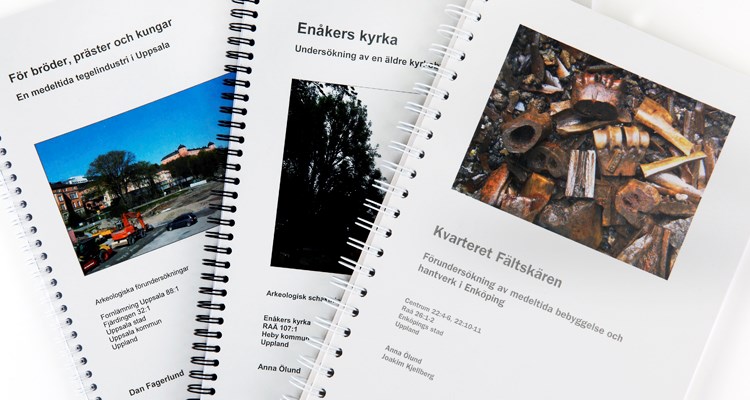 Rapportserien