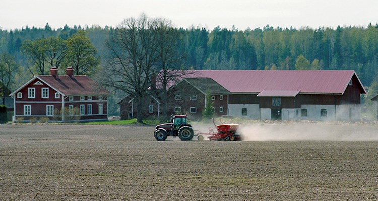 En traktor kör på en åker framför en äldre bondgård.