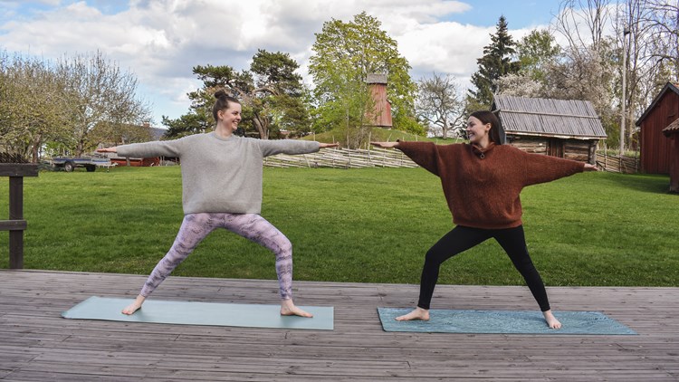 Sommaryoga på Disagården