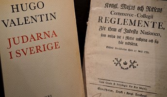 Bild för Minoritetsvisning med extra fokus på judisk historia