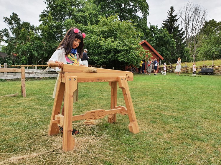 STOR SKÖRDEDAG MED MARKNAD