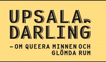 Bild för City Tour- Upsala, Darling