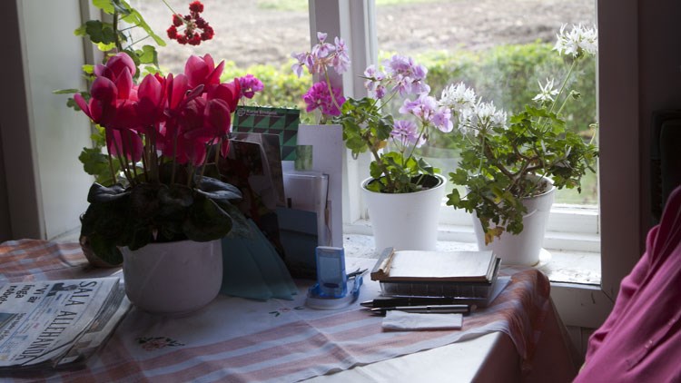 Ett bord med en dagstidning vid ett fönster med blommor på fönsterbänken.. 