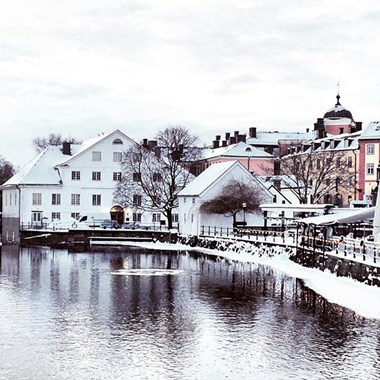 2503811_vinter