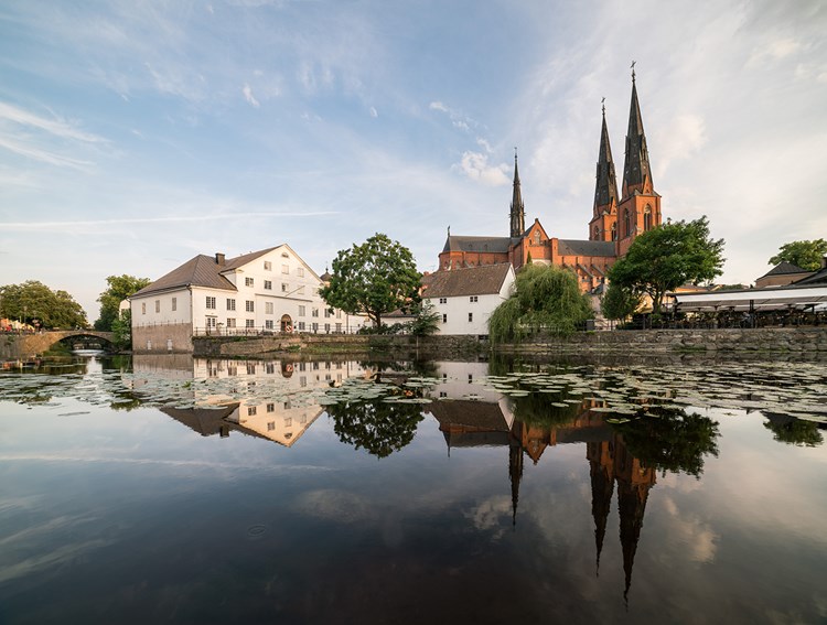 Summeractivites at Upplands Museum