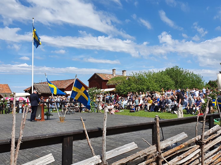 Nationaldagsfirande / National day of Sweden