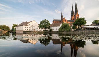 Bild för Sommaraktiviteter på Upplandsmuseet
