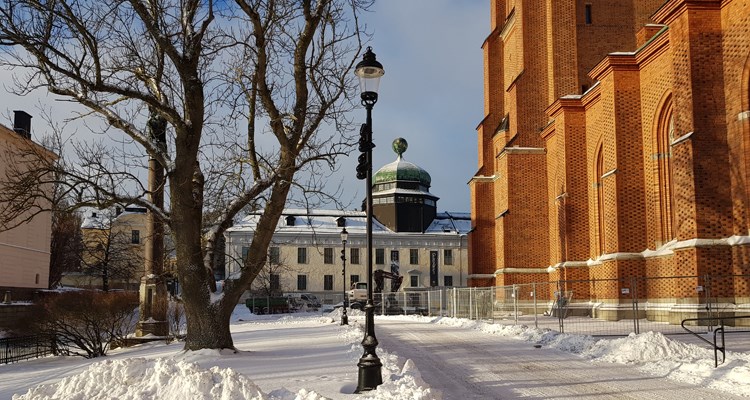 Domkyrkoplan i Uppsala