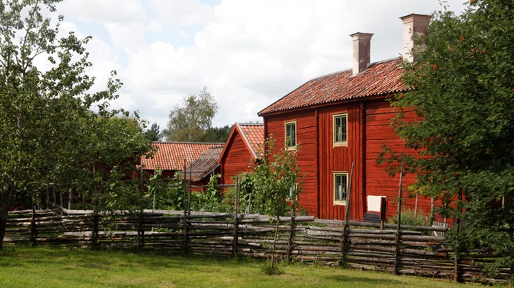 Gärdsgårdsbygge