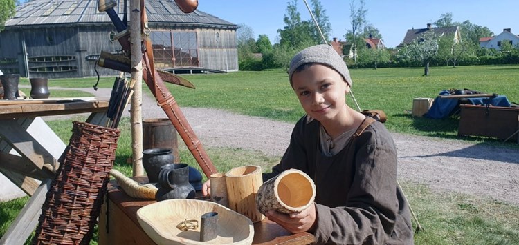 Vikingadagar
