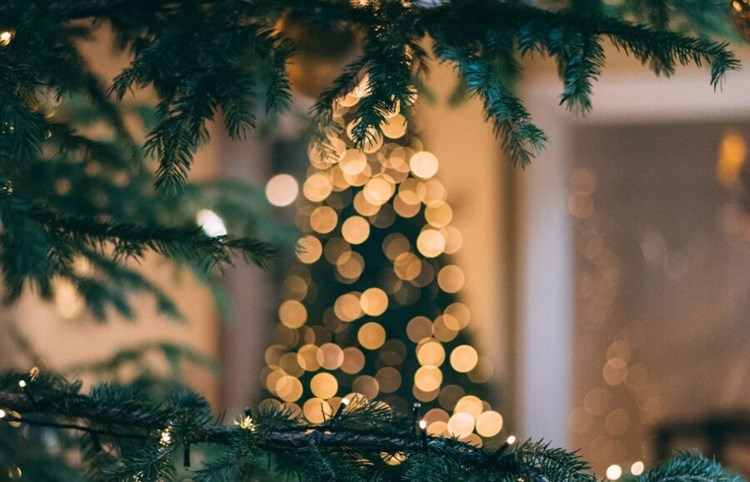 Julmarknad i kulturkvarteret Walmstedtska