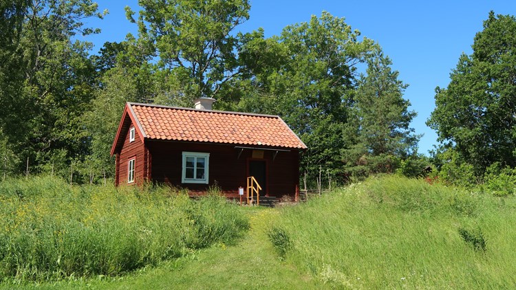 Torparungar och fattighjon