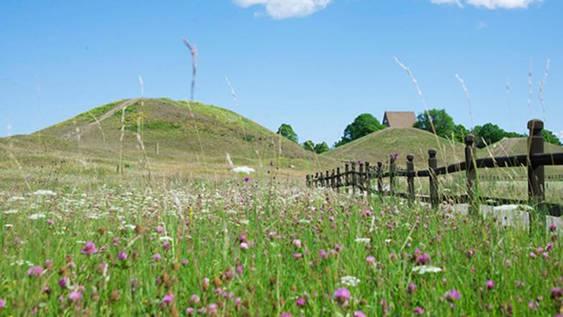 Kungshögarna och staket, sommar