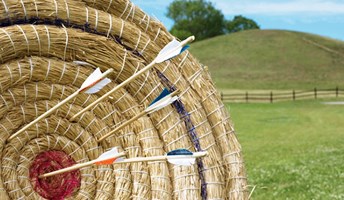 Närbild av pilbågstavla