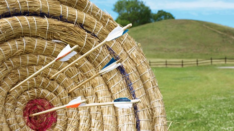 Närbild av pilbågstavla