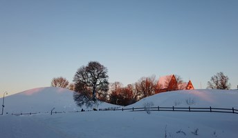 Bild för Historisk julmarknad