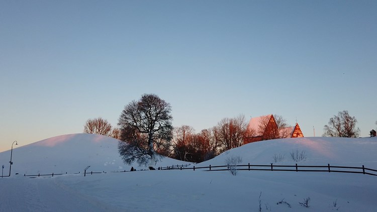 Historisk julmarknad