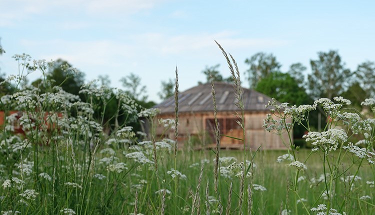 Aktuellt på Gamla Uppsala museum