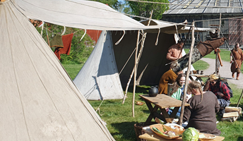 Bild för Upplev vikingatiden med Svíar