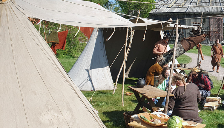 Upplev vikingatiden med Svíar