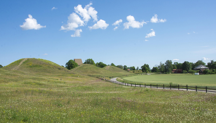 Sommar i Gamla Uppsala