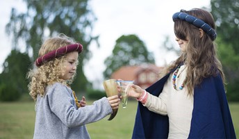 Bild för Vikingaskola:Magi och kärlek