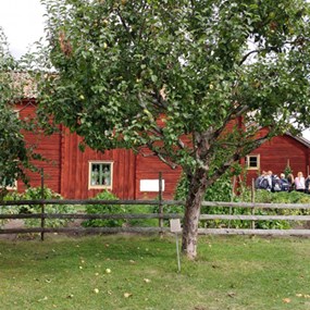 Ett trädgårdsland och två äppelträd framför rödfärgade timrade hus, i bakgrunden en grupp människor.