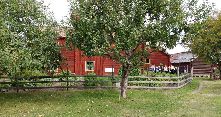 Ett trädgårdsland och två äppelträd framför rödfärgade timrade hus, i bakgrunden en grupp människor.