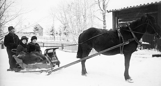 Bild på Stiftelsen Upplandsmuseets samlingar
