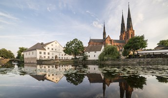 Bild för Helgaktiviteter på Upplandsmuseet