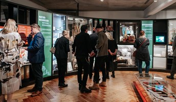 Bild för Temavisning om Upplands medeltid