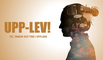 Bild för Temavisning i UPP-LEV!